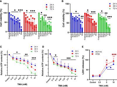 Inflammatory and deleterious role of gut microbiota-derived trimethylamine on colon cells